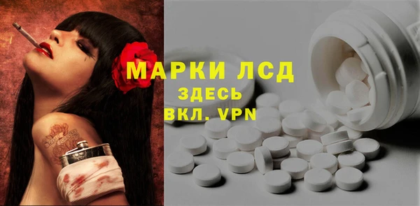 apvp Алзамай