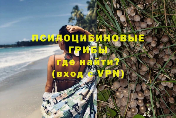 apvp Алзамай