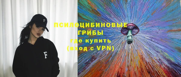 apvp Алзамай