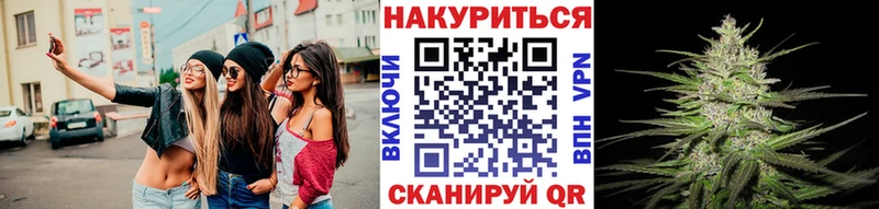 Марихуана Amnesia  закладки  Бакал 